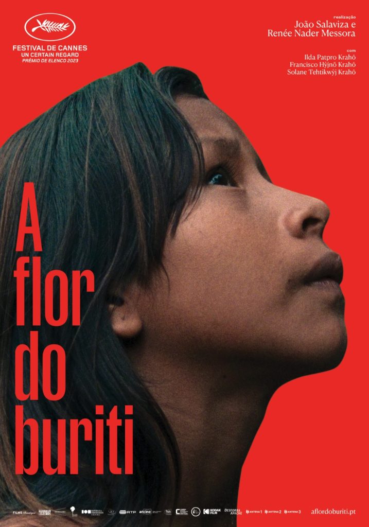 A Flor do Buriti